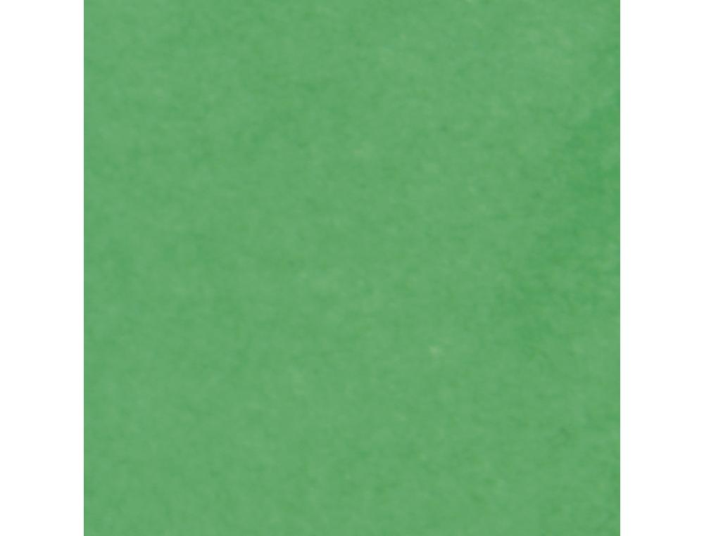 PAPIER DE SOIE CLAIREFONTAINE 50X75CM 18G COLORIS VERT      ROULEAU 24 FEUILLES
