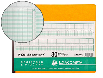 MANIFOLD COMPTABLE EXACOMPTA PIQU TTE PARESSEUSE 270X320MM HORIZONTAL 31 LIGNES 80 PAGES 30 COLONNES/2 PAGES
