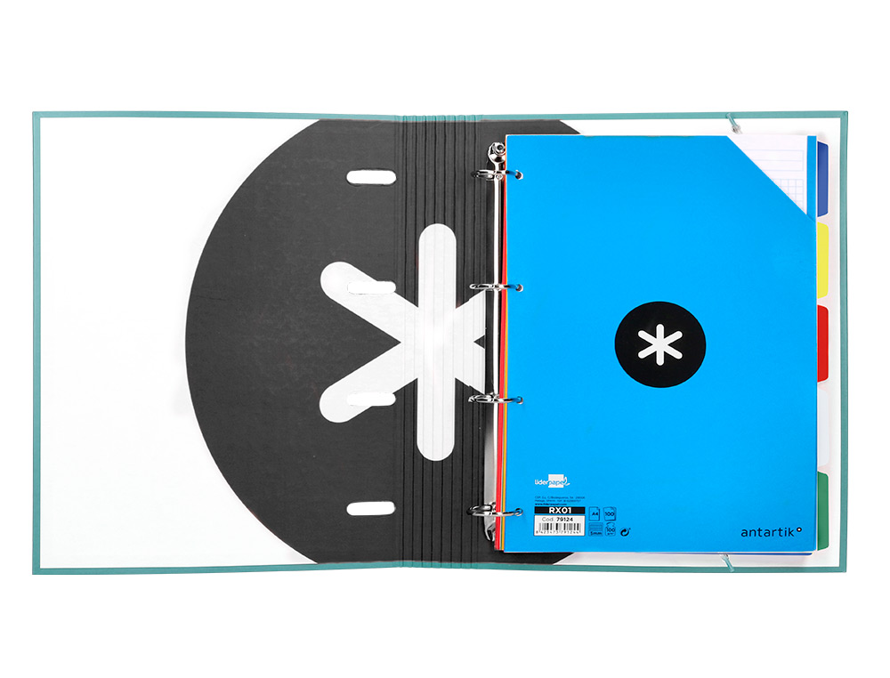 CLASSEUR ANTARTIK 4 ANNEAUX RONDS 40MM A4 CARTON REMBORDÉ FEUILLETS MOBILES Q5X5 COLORIS MENTHE