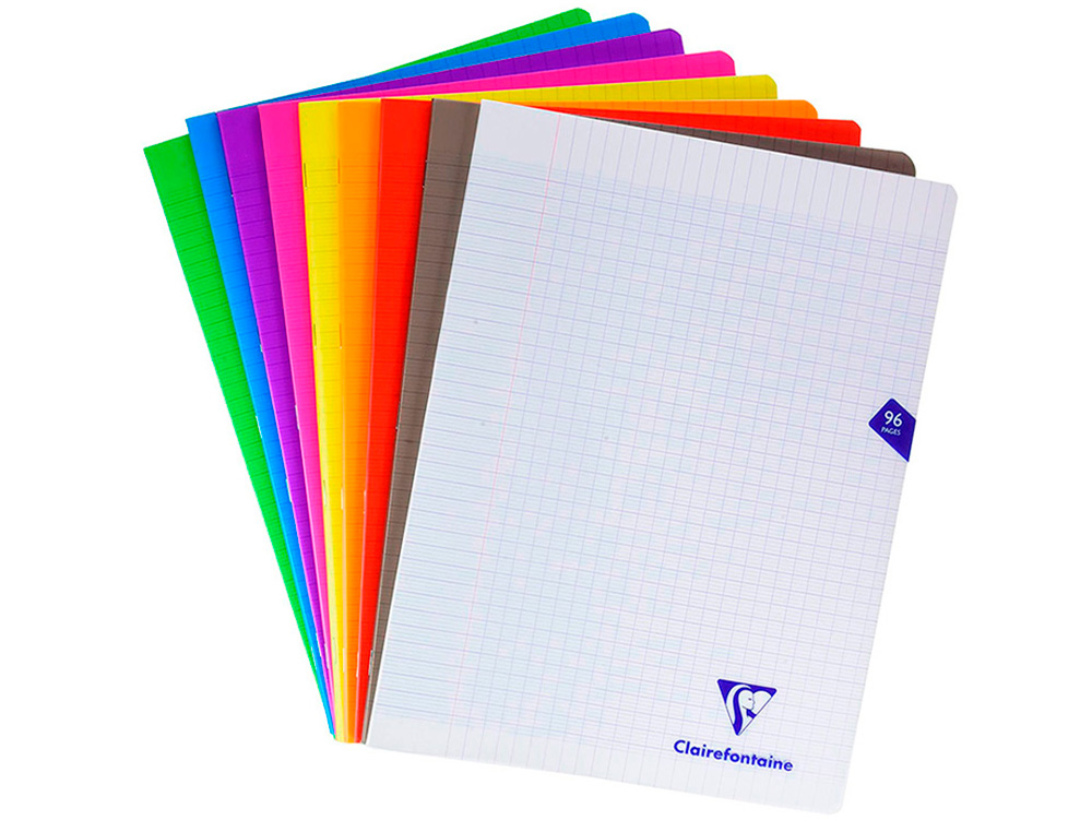 CAHIER PIQUE CLAIREFONTAINE MIMESYS COUVERTURE            POLYPROPYLENE 24X32CM 96      PAGES 90G SEYES COLORIS