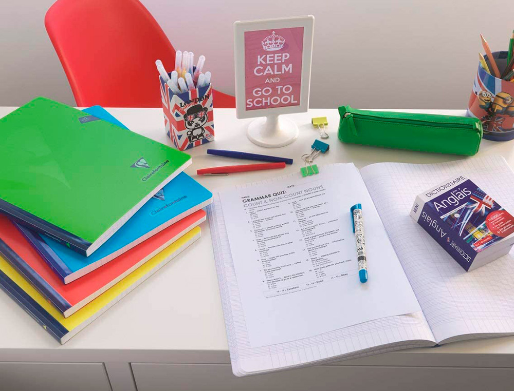 CAHIER PIQUE CLAIREFONTAINE MIMESYS COUVERTURE            POLYPROPYLENE 24X32CM 96      PAGES 90G SEYES COLORIS