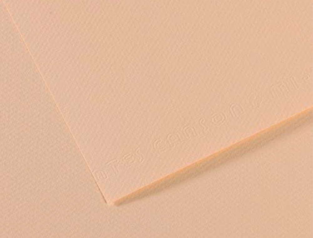 PAPIER DESSIN CANSON FEUILLE MI-TEINTES N 112 GRAIN GELATINE HAUTE TENEUR COTON 160G 50X65CM COULEUR COQUILLE
