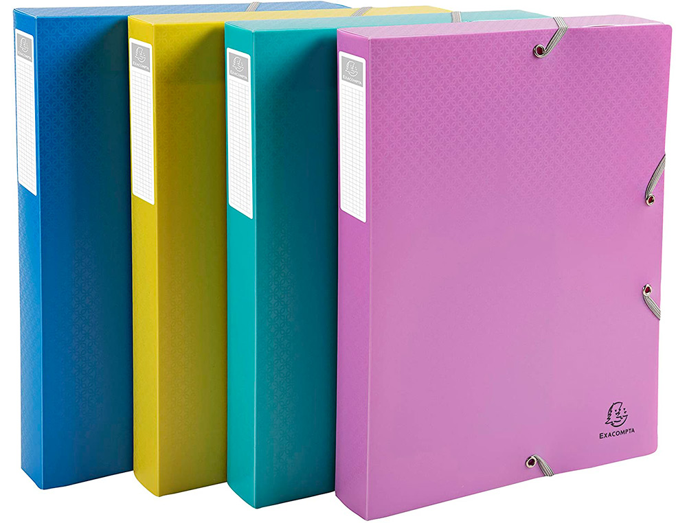 BOITE DE CLASSEMENT EXACOMPTA FOREVER YOUNG A4              POLYPROPYLENE DOS 40MM