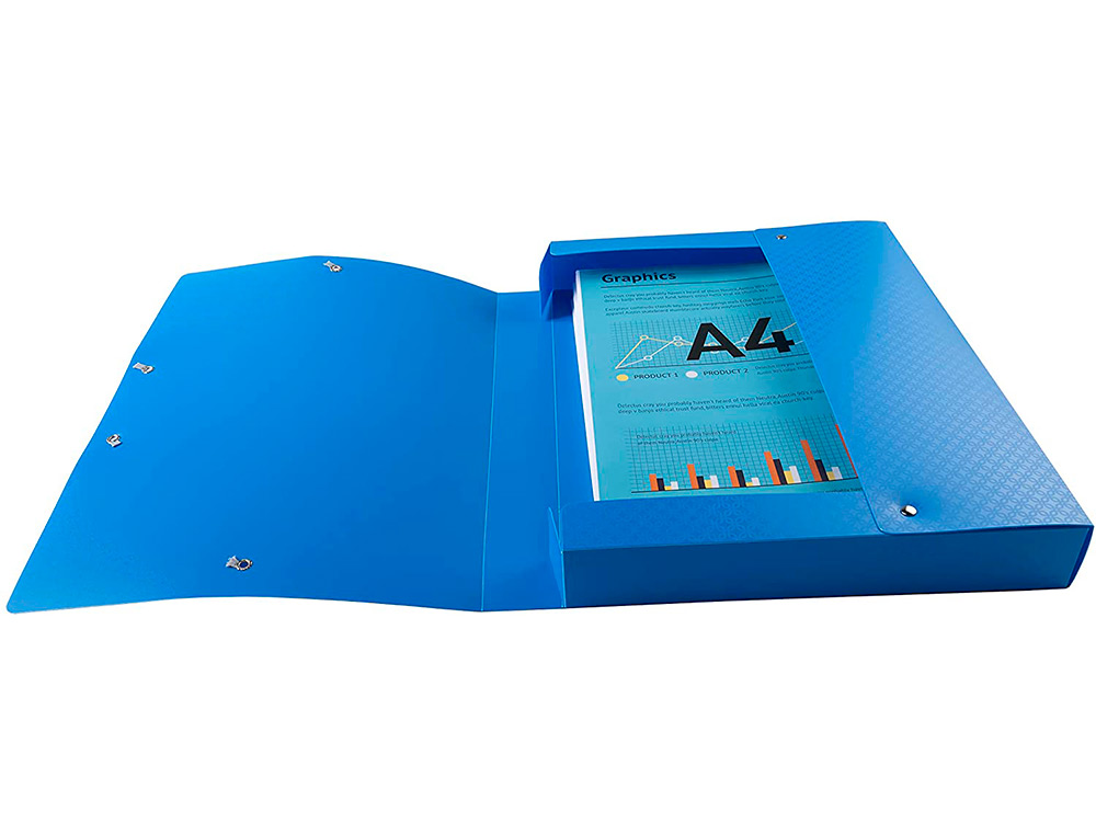 BOITE DE CLASSEMENT EXACOMPTA FOREVER YOUNG A4              POLYPROPYLENE DOS 40MM