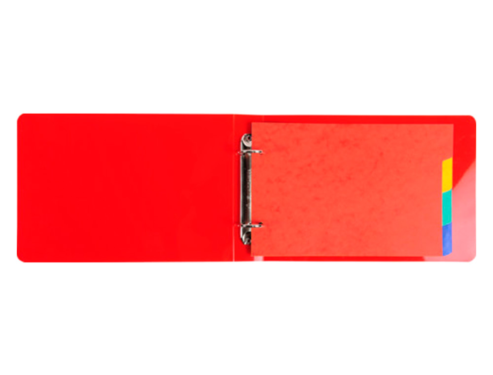 INTERCALAIRES POUR FICHES BRISTOL A5 148X210MM 4        POSITIONS