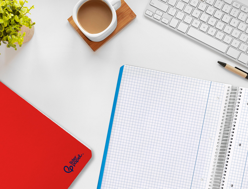 CAHIER SPIRALE LIDERPAPEL A4 SERIE SMART COUVERTURE        CARTONNEE SOUPLE 80F 75G/M2   5X5MM DOUBLE MARGE 4 TROUS