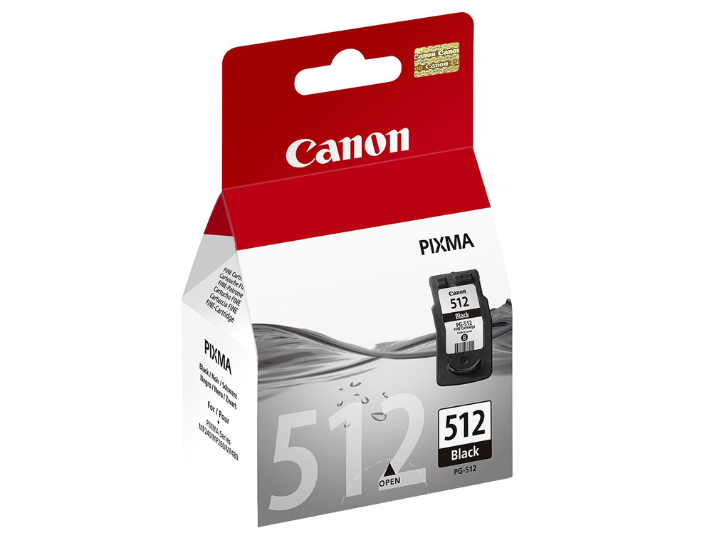 CARTOUCHE CANON JET D'ENCRE 2969 B001-PG512 TÊTE+ENCRE COULEUR NOIR 400P