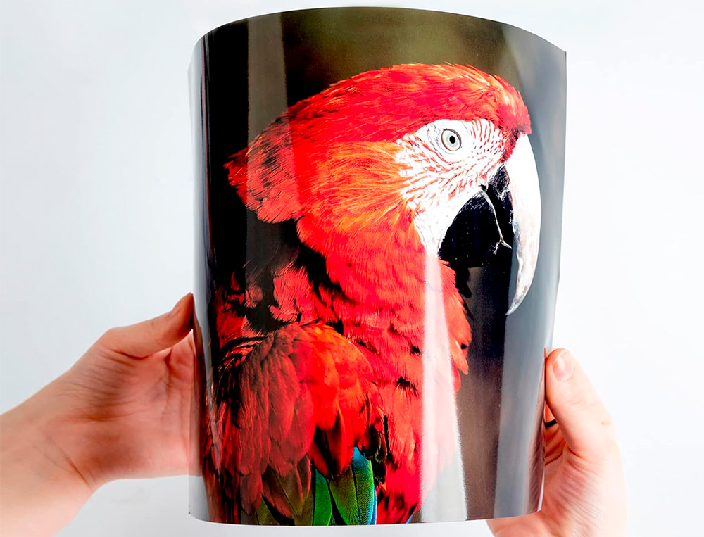 PAPIER PHOTO Q-CONNECT JET D'ENCRE GLAC BRILLANT A4 18     0G/M2 COMPATIBLE TOUTE IMPRIMANTE PAQUET 20 FEUILLES