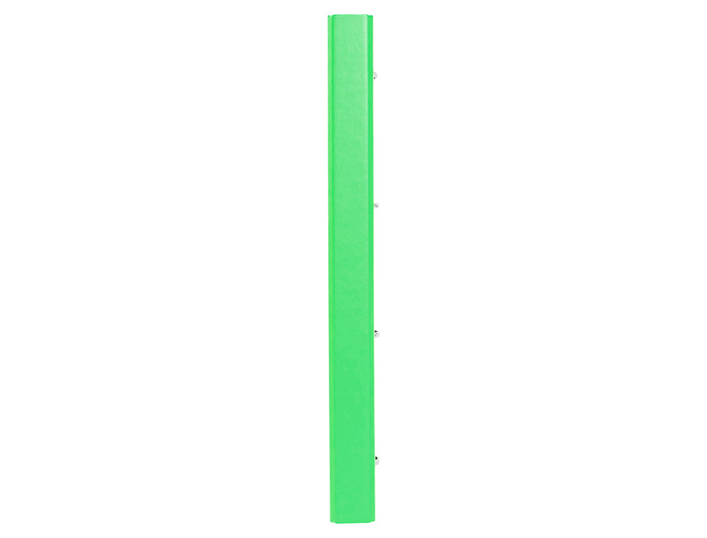 CLASSEUR ANTARTIK 4 ANNEAUX RONDS 25MM A4 CARTON REMBORDÉ FEUILLETS MOBILES QUADRILLAGE 5MM COLORIS VERT