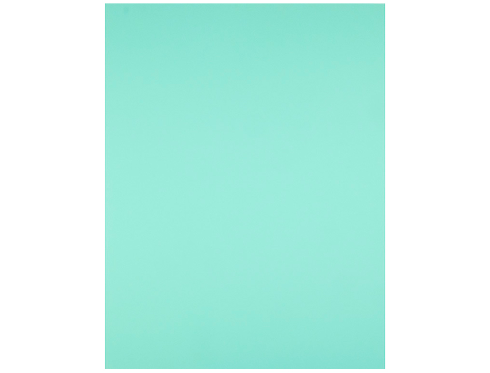 PAPIER CARTONNÉ LIDERPAPEL DESSIN TRAVAUX MANUELS 180G/M2 50X65CM UNICOLORE VERT