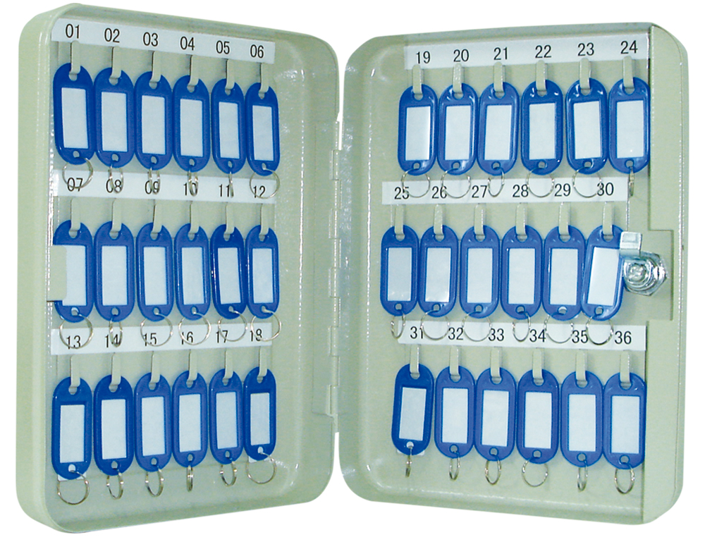 ARMOIRE À CLÉS Q-CONNECT 36 CLÉS ACIER RÉSISTANT ÉPAISSEUR 0.8CM INCLUS 2 CLÉS PORTE-CLÉS ACCESSOIRES 250X180X60MM