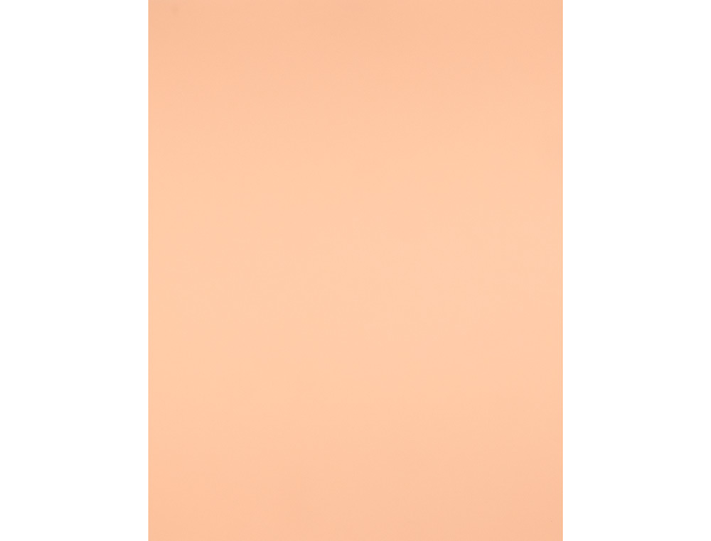 PAPIER CARTONNE LIDERPAPEL 50X65CM 240GR COLORIS SEPIA PAQUET 25 FEUILLES