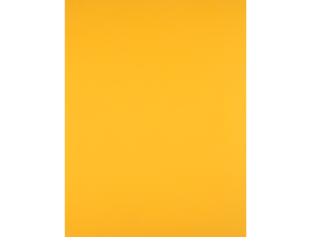 PAPIER CARTONNE LIDERPAPEL 50X65CM 180GR COLORIS VIEIL OR PAQUET 25 FEUILLES