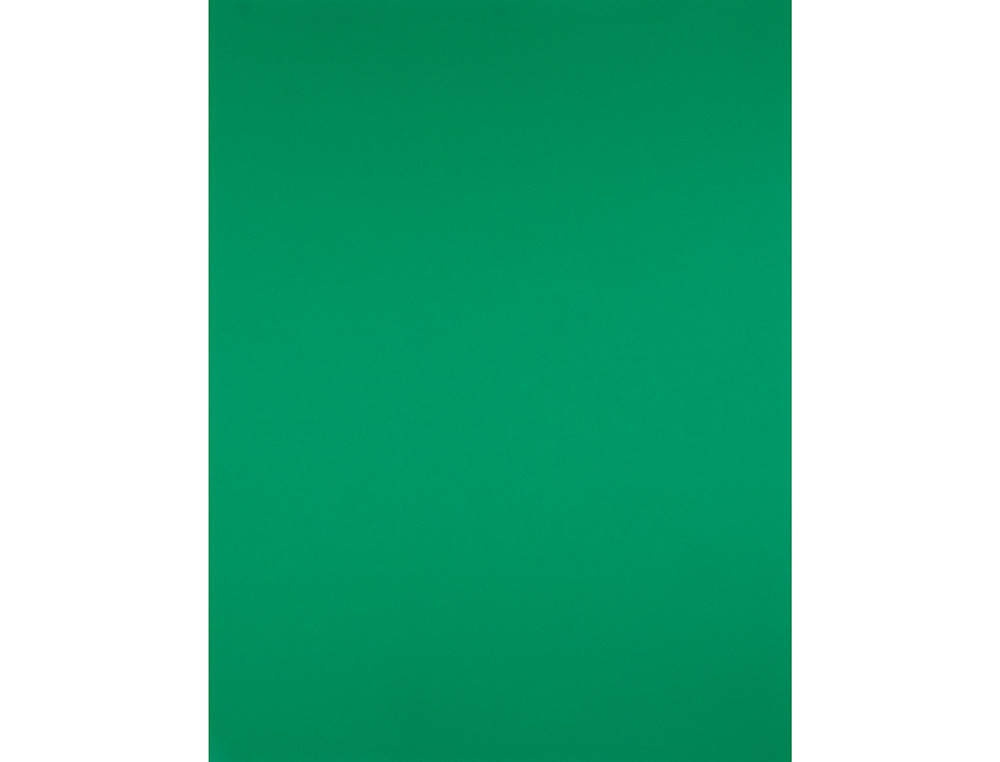 PAPIER CARTONNE LIDERPAPEL 50X65CM 180GR COLORIS VERT NOEL PAQUET 25 FEUILLES