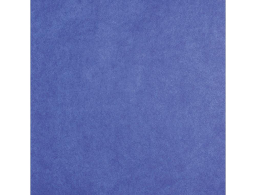 PAPIER DE SOIE CLAIREFONTAINE 50X75CM 18G COLORIS BLEU      ROULEAU 24 FEUILLES