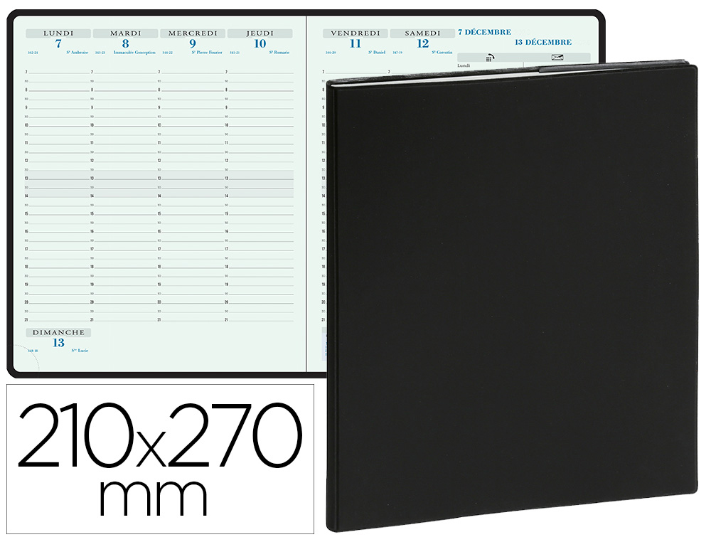 AGENDA EXACOMPTA BROCHÉ HORIZONS 27 SEMAINIER COUVERTURE PLASTIQUE BARBARA 1 SEMAINE 2 PAGES 210X270MM COLORIS ASSORTIS