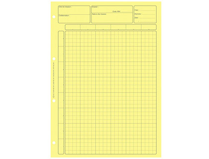 BLOC AUDIT CONTRLE INTERNE ELVE 80 PAGES PERFORES FORMAT A4 ENCOLLAGE EN TTE ADAPT CRITURE CRAYON COLORIS JAUNE